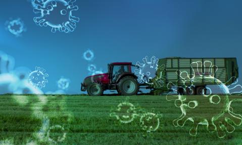 Teaserbild_Traktor_Corona.jpg