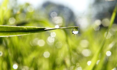drops-of-water-4891488_c_AnneBourbeau_pixabay.jpg