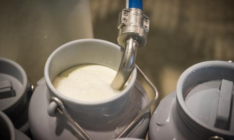 2020-068_milk-4133945__c_Ehrecke_pixabay.jpg