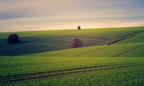 fields-3799279_c_jplenio_pixabay.jpg