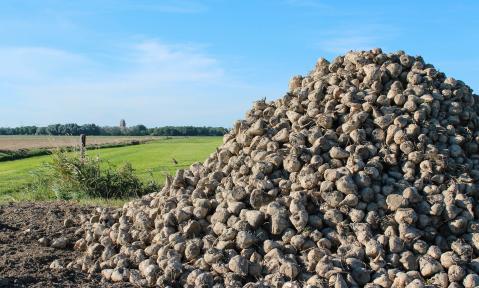 countryside-3472394_1920_pixabay-alkemade.jpg
