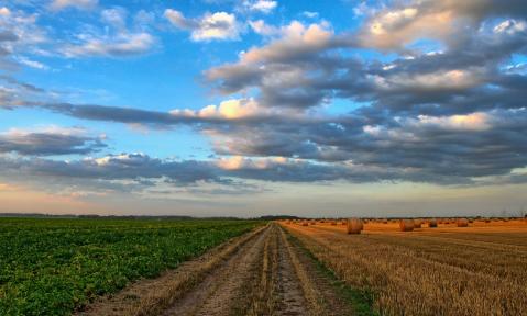 nature-213364_1920_pixabay-Wolfgang_Borchers.jpg