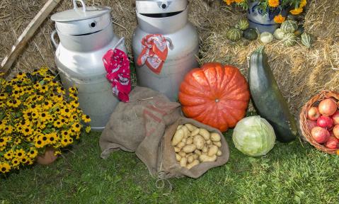 thanksgiving-362910_1920_pixabay_Andi_Graf.jpg