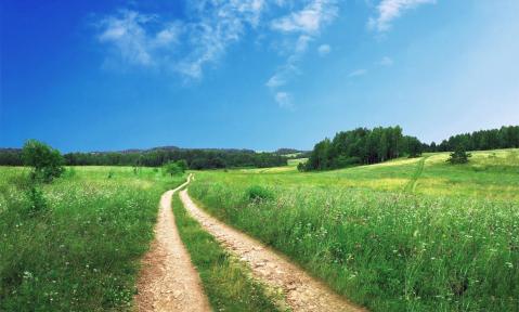 footpath-691021_1920_pixabay_Free-Photos_bea.jpg