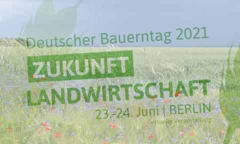 Bluehstreifen-DBT.jpg