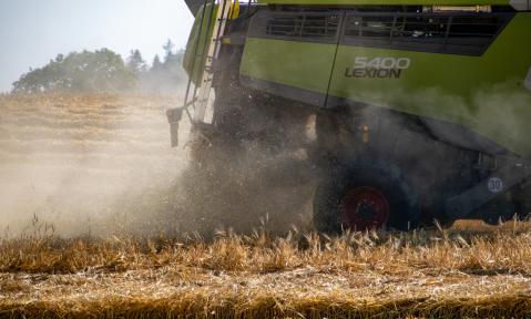 harvest-6475440_c_Hannemann_DBV.jpg