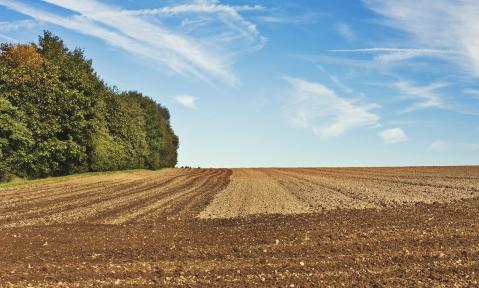 arable-1918990_1920_pixabay-andreas160578.jpg