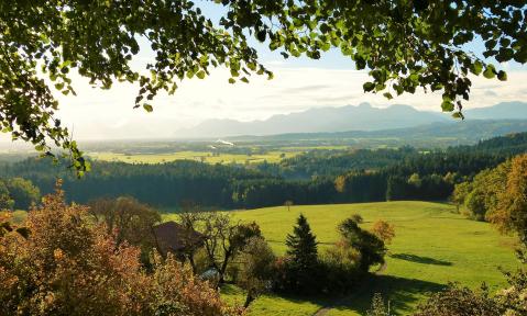 JA_autumn-1766611_1920_pixabay-silviarita.jpg