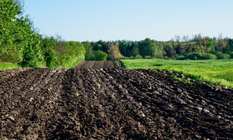 arable-3442666_1920_pixabay_Fritz_the_Cat.jpg