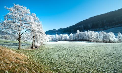 field-4739176_c_adege_pixabay.jpg