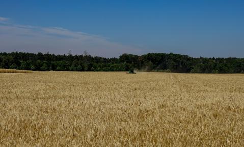 _DSC4494_schn.jpg