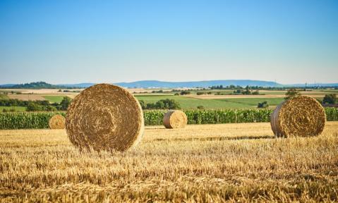 AdobeStock_116414560_klein.jpg