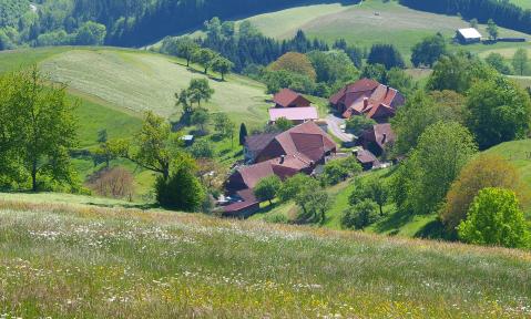 NEIN_landscapes-2255943_1920_-_pixabay-mbc-2016.jpg