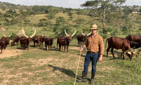 Pic15_Ankole_Cattle_kleiner.jpg