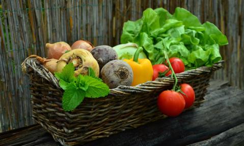 vegetables-752153_1920_pixabay_congerdesign.jpg