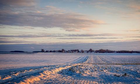 fields-7649505_1920_pixabay_fietzfotos.jpg