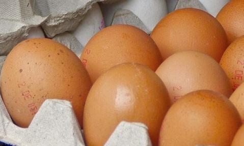 eggs-2662880_1920_pixabay_anaterate_schn.jpg