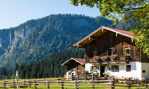 Langerbauer_Alm_Sommer_Aussen__c_Andreas_Plenk.jpg