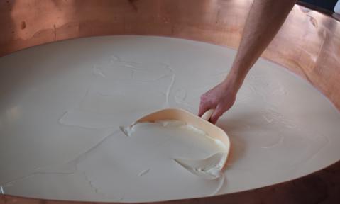 cheese-3569957_1920_pixabay_dyhuettner.jpg