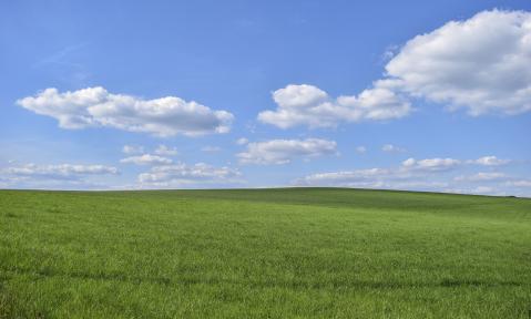 field-5429112_1920_pixabay_MichaelGaida.jpg