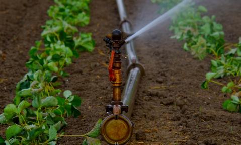 water-sprinklers-880970_1920_pixabay-Holger_Schue.jpg