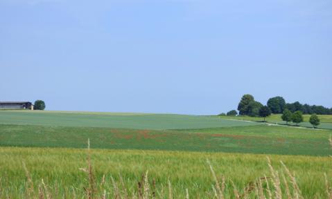 P1080011_20190701Schwarzwald_Zippel_bea.jpg