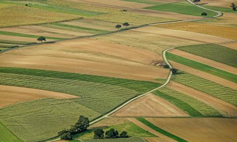 _Foto_Schwoaze_pixabay_agriculture-3195381_1920.jpg