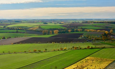 fields-5788653_1920_pixabay_Fritz_the_Cat.jpg