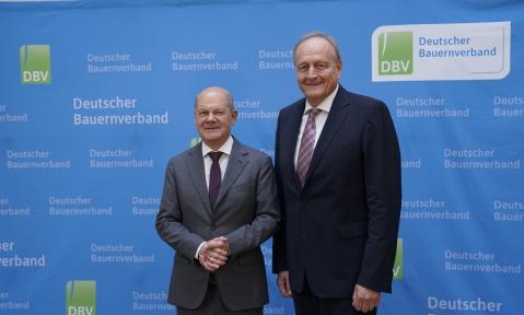 Quelle_DBV.jpeg