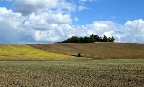 JA_aber_unterstes_Viertel_abschnieden_arable-1642639_1920_pixabay-Brockenhexe.jpg