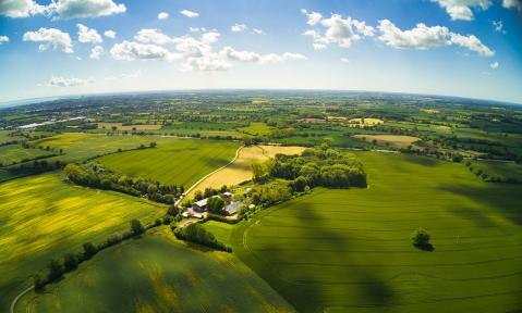 fields-7070956_1920_pixabay_rainerh11.jpg