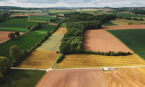 fields-7032993_1920_pixabay_orko46.jpg