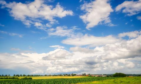 cornfield-6570699_1920_pixabay_fietzfotos.jpg