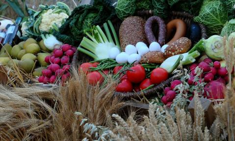 harvest-4498536_1920_pixabay_moritz320.jpg