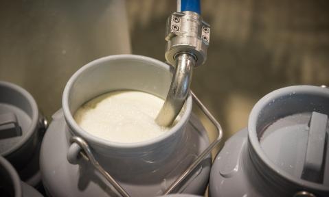 milk-4133945_1920_pixabay-WolfgangEhrecke.jpg