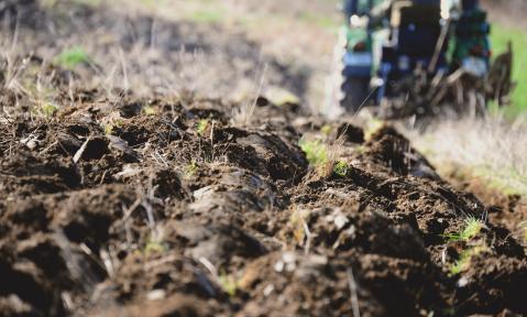 arable-4095861_1920_pixabay-congerdesign.jpg