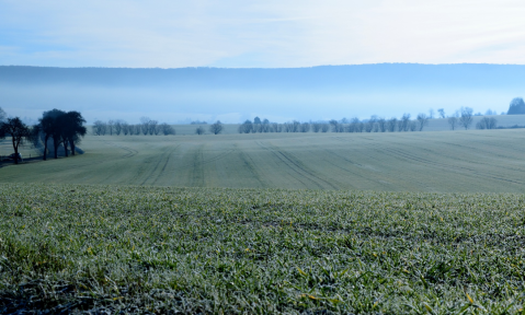 landscape-1882348_1920_pixabay-Hans_Linde.png