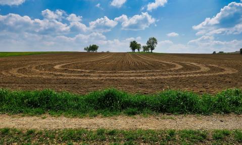 fields-4565519_pixabay_hhach_kl.jpg
