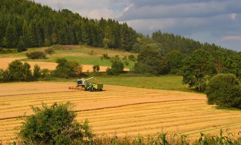 germany-7005121_pixabay_Erzgebirger_kl.jpg