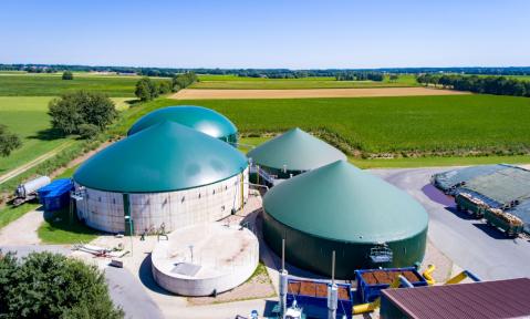 AdobeStock_195467713_gekauft_countrypixel.jpg