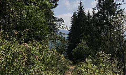 Foto_Philipp_Weiser__8_.jpeg