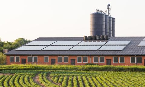 AdobeStock_182839463_Schweinestall_gekauft_adobestock_ChristianSchwier_kl.jpg