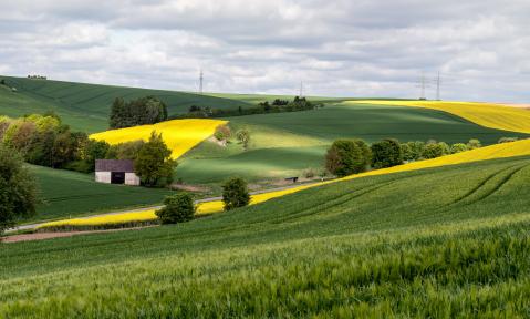 Agrikultur Felder 
