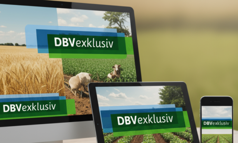 12_2025_Bild_fuer_DBVexklusiv_c_Alenka_Aust.png