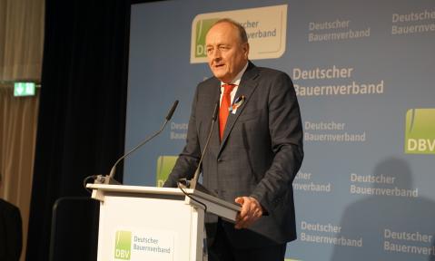 DBV-Neujahrsempfang.jpg