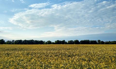 germany-5336618_1920_pixabay_winklerchristopher.jpg