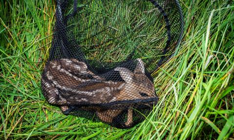 AdobeStock_608699748_Countrypixel_kl.jpg