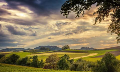 fields-6268162_1920_pixabay_Franz26.jpg