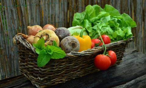 congerdesign-vegetables-752153_pixabay.jpg