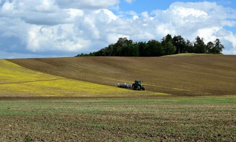 JA_arable-1642639_1920_pixabay-Brockenhexe_schn.jpg